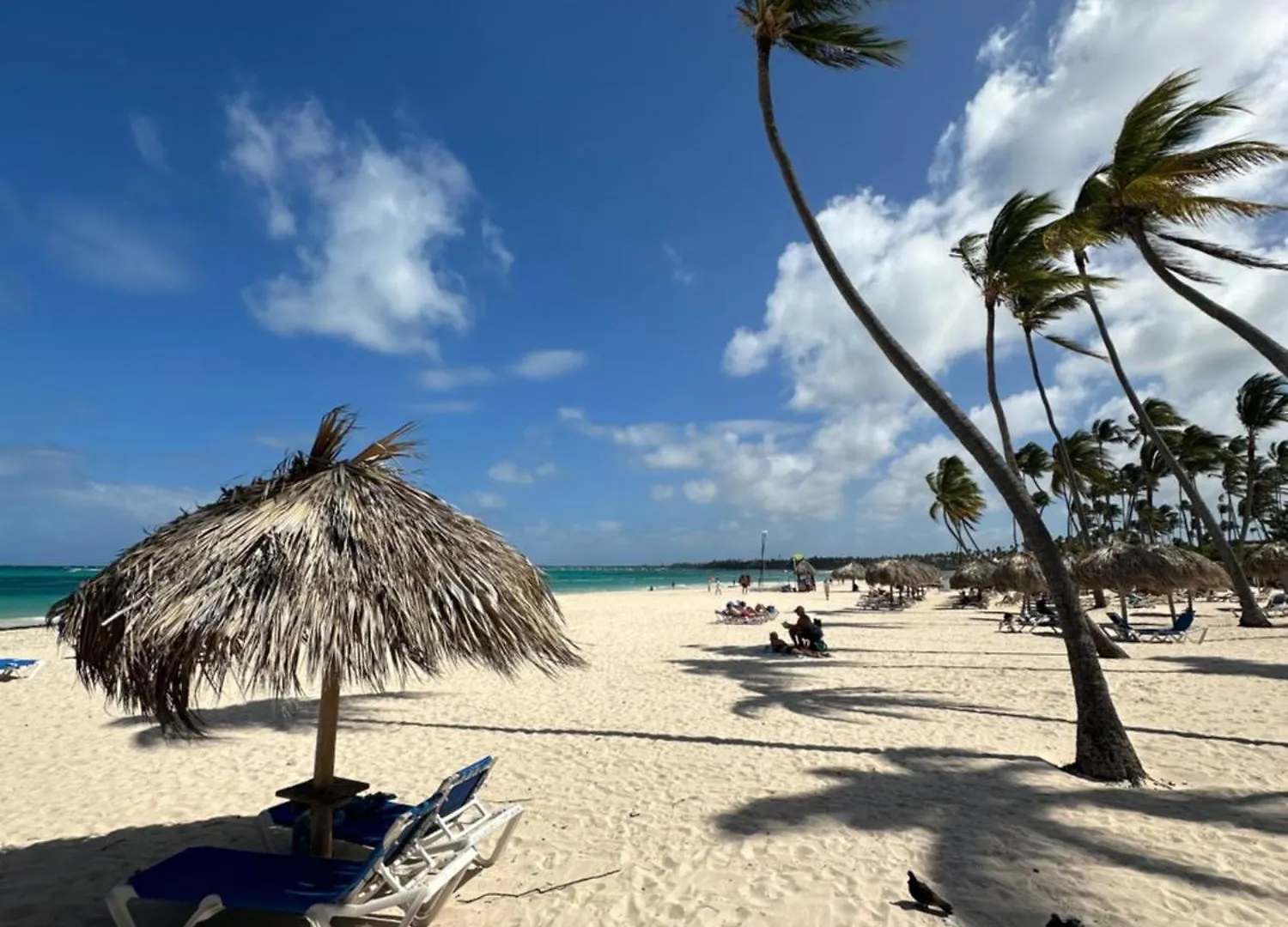 Punta Beach Bavaro Hotel Apartamentos بونتا كانا شقة